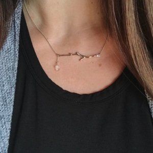 Chloe and Isabel Silver Plated Branch Necklace